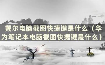 戴尔电脑截图快捷键是什么（华为笔记本电脑截图快捷键是什么）