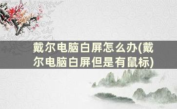 戴尔电脑白屏怎么办(戴尔电脑白屏但是有鼠标)