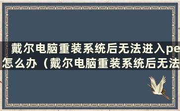 戴尔电脑重装系统后无法进入pe怎么办（戴尔电脑重装系统后无法进入pe）