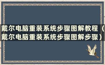 戴尔电脑重装系统步骤图解教程（戴尔电脑重装系统步骤图解步骤）