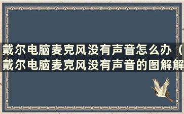 戴尔电脑麦克风没有声音怎么办（戴尔电脑麦克风没有声音的图解解决方案）