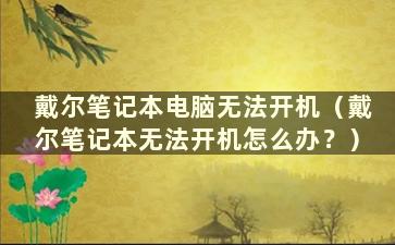 戴尔笔记本电脑无法开机（戴尔笔记本无法开机怎么办？）