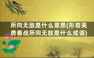 所向无敌是什么意思(形容英勇善战所向无敌是什么成语)