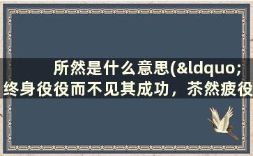 所然是什么意思(“终身役役而不见其成功，苶然疲役而不知其所归，可不哀邪”是什么意思)