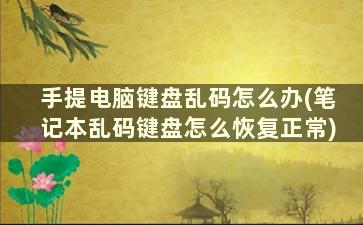 手提电脑键盘乱码怎么办(笔记本乱码键盘怎么恢复正常)