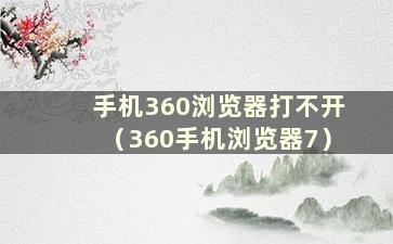 手机360浏览器打不开（360手机浏览器7）