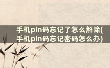 手机pin码忘记了怎么解除(手机pin码忘记密码怎么办)