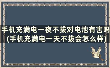 手机充满电一夜不拔对电池有害吗(手机充满电一天不拔会怎么样)