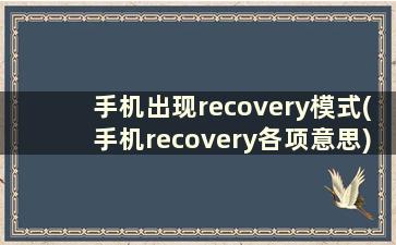 手机出现recovery模式(手机recovery各项意思)