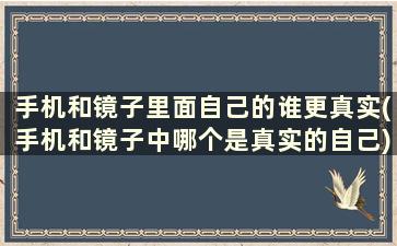 手机和镜子里面自己的谁更真实(手机和镜子中哪个是真实的自己)