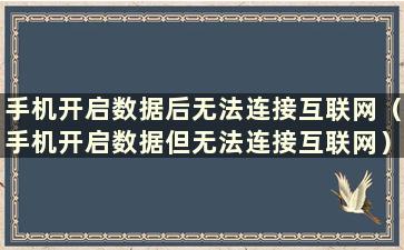 手机开启数据后无法连接互联网（手机开启数据但无法连接互联网）