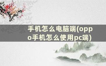 手机怎么电脑端(oppo手机怎么使用pc端)