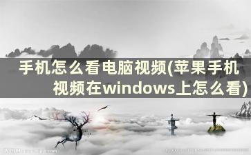 手机怎么看电脑视频(苹果手机视频在windows上怎么看)