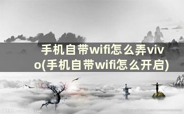 手机自带wifi怎么弄vivo(手机自带wifi怎么开启)