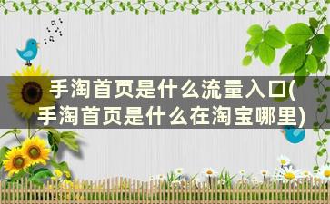 手淘首页是什么流量入口(手淘首页是什么在淘宝哪里)