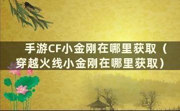 手游CF小金刚在哪里获取（穿越火线小金刚在哪里获取）