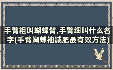 手臂粗叫蝴蝶臂,手臂细叫什么名字(手臂蝴蝶袖减肥最有效方法)