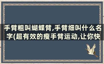 手臂粗叫蝴蝶臂,手臂细叫什么名字(超有效的瘦手臂运动,让你快速告别蝴蝶袖!)