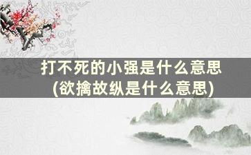 打不死的小强是什么意思(欲擒故纵是什么意思)