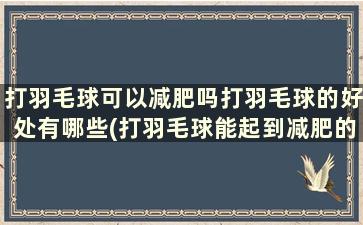 打羽毛球可以减肥吗打羽毛球的好处有哪些(打羽毛球能起到减肥的作用吗)