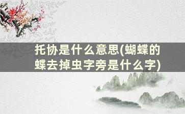 托协是什么意思(蝴蝶的蝶去掉虫字旁是什么字)