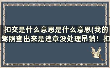 扣交是什么意思是什么意思(我的驾照查出来是违章没处理吊销！扣留是啥意思)