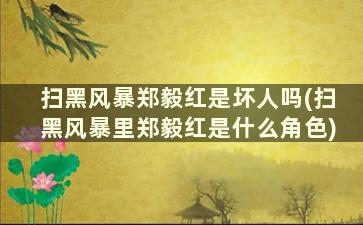 扫黑风暴郑毅红是坏人吗(扫黑风暴里郑毅红是什么角色)