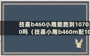 技嘉b460小雕能跑到10700吗（技嘉小雕b460m配10600kf）