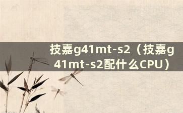 技嘉g41mt-s2（技嘉g41mt-s2配什么CPU）