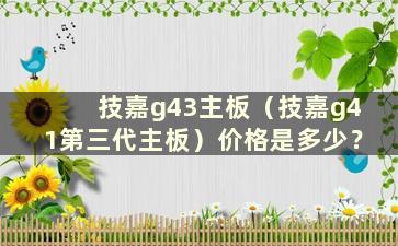 技嘉g43主板（技嘉g41第三代主板）价格是多少？