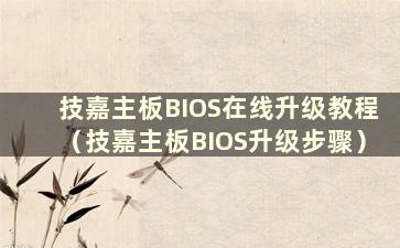 技嘉主板BIOS在线升级教程（技嘉主板BIOS升级步骤）