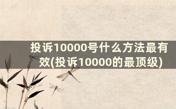 投诉10000号什么方法最有效(投诉10000的最顶级)