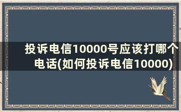 投诉电信10000号应该打哪个电话(如何投诉电信10000)