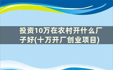 投资10万在农村开什么厂子好(十万开厂创业项目)