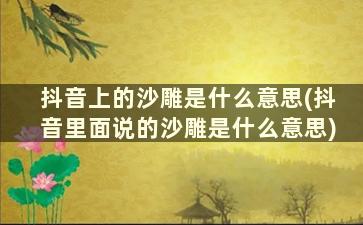 抖音上的沙雕是什么意思(抖音里面说的沙雕是什么意思)