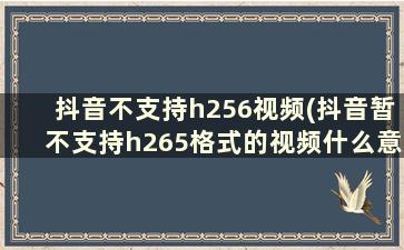 抖音不支持h256视频(抖音暂不支持h265格式的视频什么意思)