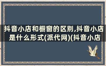 抖音小店和橱窗的区别,抖音小店是什么形式(派代网)(抖音小店和抖音橱窗一样吗)