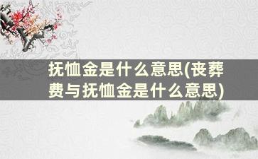 抚恤金是什么意思(丧葬费与抚恤金是什么意思)