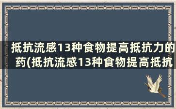 抵抗流感13种食物提高抵抗力的药(抵抗流感13种食物提高抵抗力的药物)