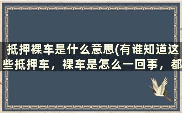 抵押裸车是什么意思(有谁知道这些抵押车，裸车是怎么一回事，都是偷来的车吗)