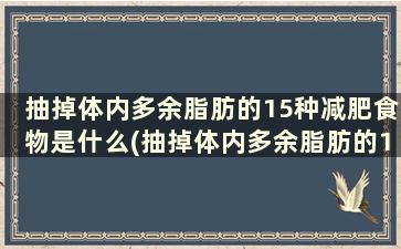 抽掉体内多余脂肪的15种减肥食物是什么(抽掉体内多余脂肪的15种减肥食物)