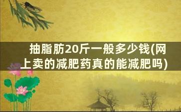 抽脂肪20斤一般多少钱(网上卖的减肥药真的能减肥吗)