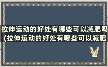 拉伸运动的好处有哪些可以减肥吗(拉伸运动的好处有哪些可以减肥吗)