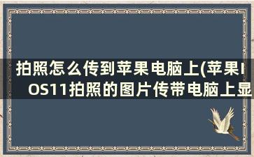 拍照怎么传到苹果电脑上(苹果IOS11拍照的图片传带电脑上显示的HEIC文件怎么打开)