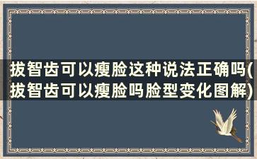 拔智齿可以瘦脸这种说法正确吗(拔智齿可以瘦脸吗脸型变化图解)