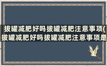 拔罐减肥好吗拔罐减肥注意事项(拔罐减肥好吗拔罐减肥注意事项是什么)