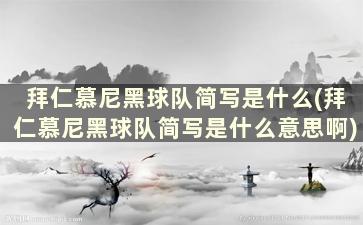 拜仁慕尼黑球队简写是什么(拜仁慕尼黑球队简写是什么意思啊)