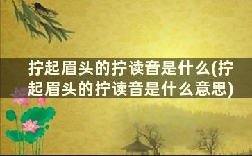 拧起眉头的拧读音是什么(拧起眉头的拧读音是什么意思)