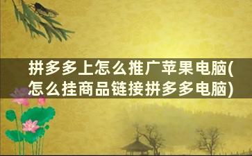 拼多多上怎么推广苹果电脑(怎么挂商品链接拼多多电脑)