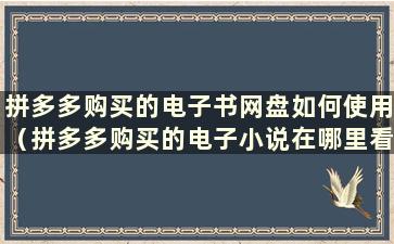 拼多多购买的电子书网盘如何使用（拼多多购买的电子小说在哪里看）